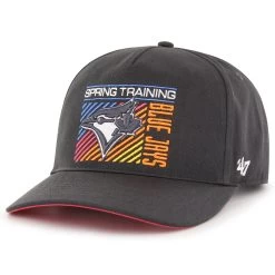 Men's Toronto Blue Jays '47 Charcoal 2023 Spring Training Reflex Hitch Snapback Hat