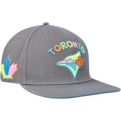 Men's Toronto Blue Jays Pro Standard Gray Washed Neon Snapback Hat