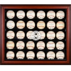 Toronto Blue Jays Fanatics Authentic Logo Mahogany Framed 30-Ball Display Case